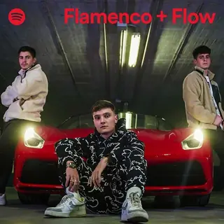 Portada de la lista «Flamenco + Flow» de Spotify con Kike & Manu y Alberto Toral, en la captura que publicó Fiesta Music en Instagram (abril de 2022)