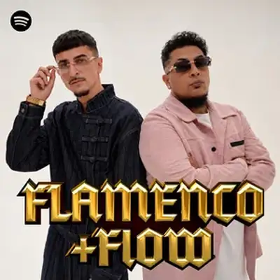 Portada de la playlist Flamenco + Flow